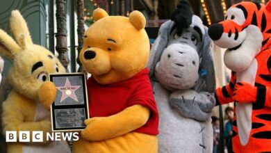 120355616 poohfame2 get.jpg