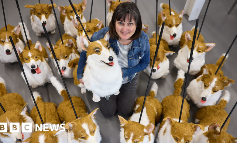124599507 corgis5.png