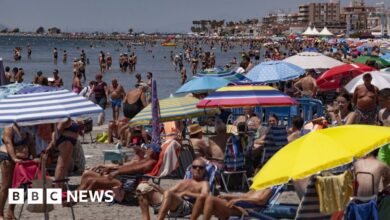 360fa9b0 46f6 11ef 9e1c 3b4a473456a6