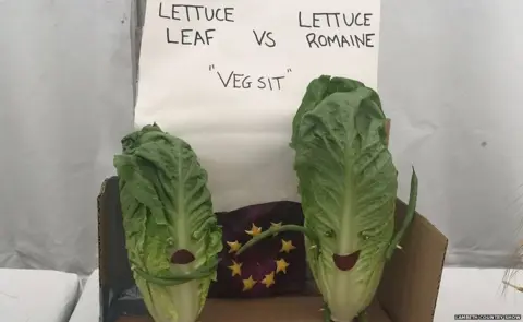Lambeth Country Show Vegsit: Leaf or Romaine?
