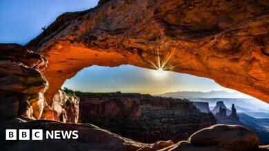 105145368 909df4d8 a428 434e 8577 914299fa9761.jpg