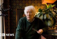 3e2c3210 a453 11f0 8a21 ff96e44d1cc2.jpg