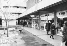 0c258ff0 f07a 11f0 8162 5ba718a8bc6a.jpg